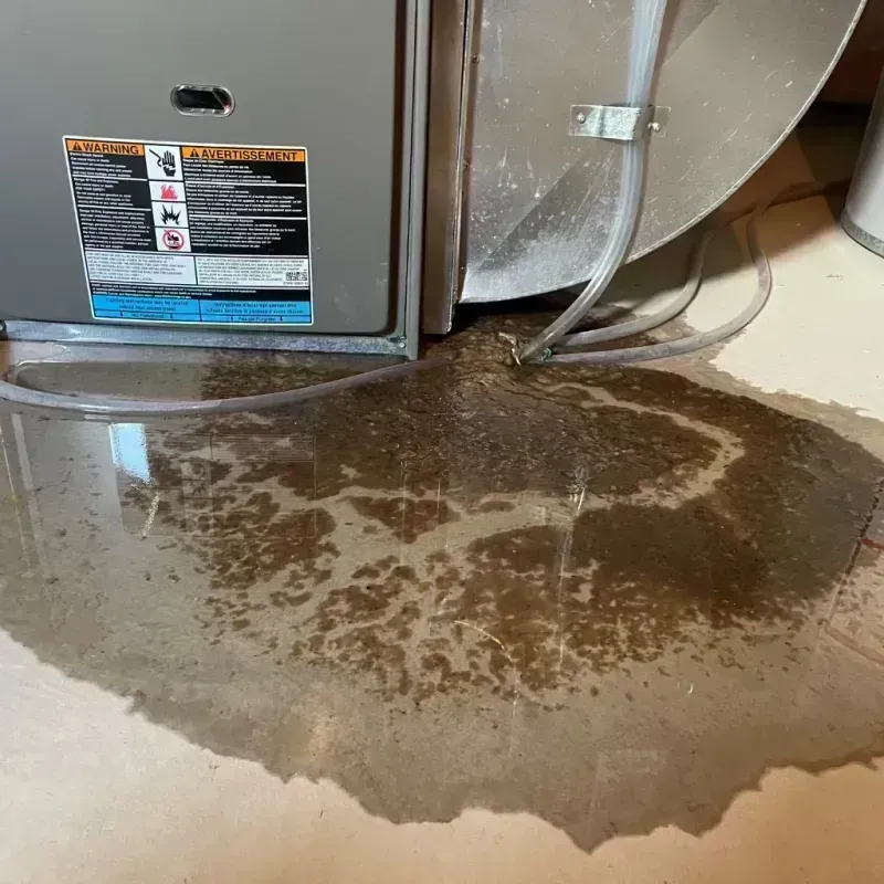 Appliance Leak Cleanup in Lexington, MO